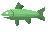 Raw sardine