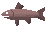 Cooked salmon