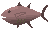 Cooked tuna