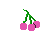 Cadavaberries
