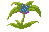 Dwellberries